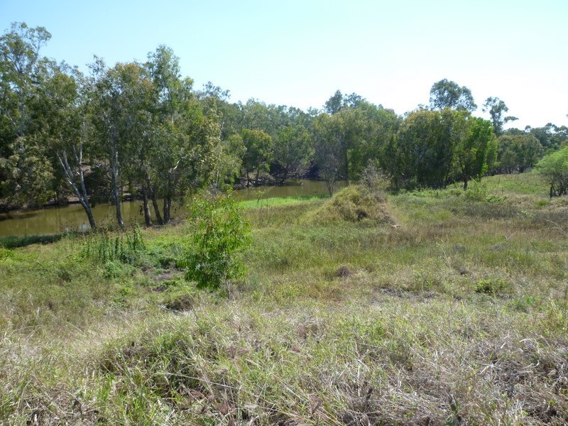 190  Lion Creek Road, Wandal QLD 4700