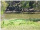 190  Lion Creek Road, Wandal QLD 4700