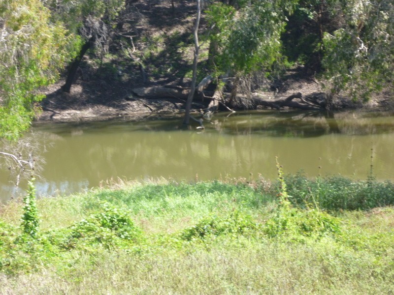 190  Lion Creek Road, Wandal QLD 4700