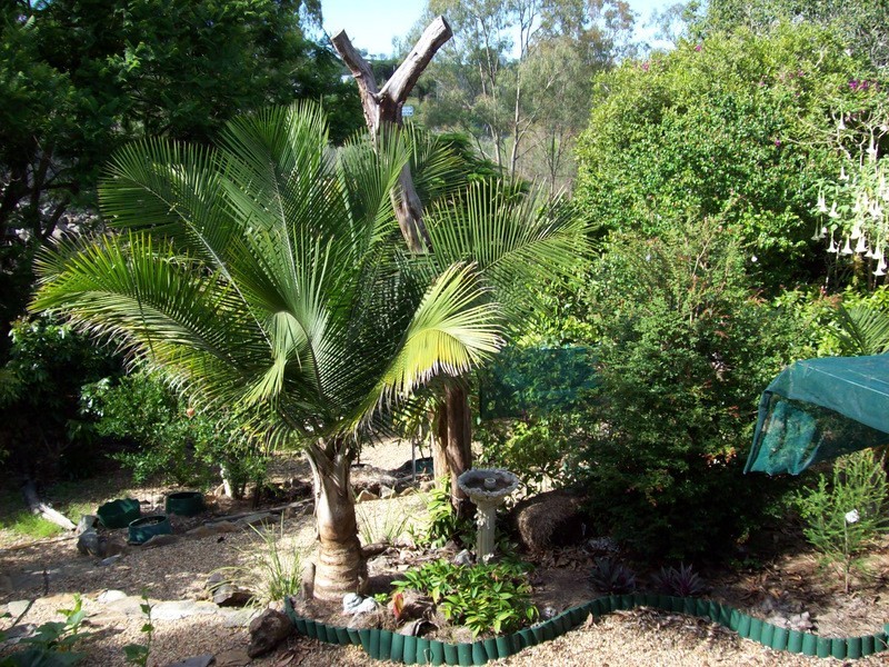 Mount Morgan QLD 4714