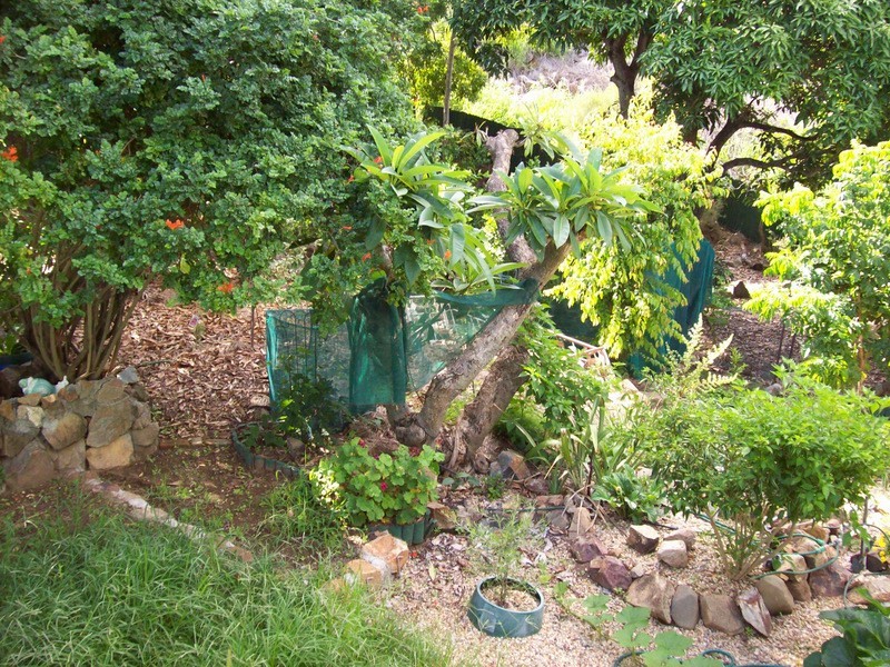 Mount Morgan QLD 4714