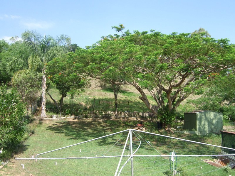 Mount Morgan QLD 4714