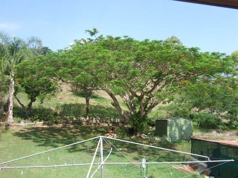 Mount Morgan QLD 4714