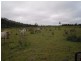 1649 Atkinson Road, Canoona QLD 4702