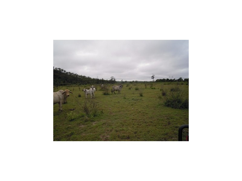 1649 Atkinson Road, Canoona QLD 4702