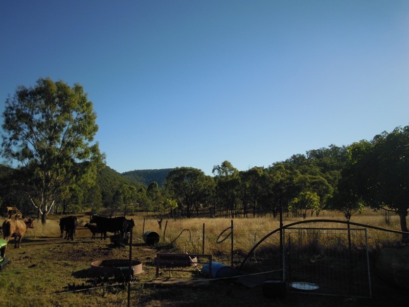 49792 Burnett Highway, Walmul QLD 4714