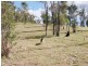 12 Whitely Street, Moongan QLD 4714