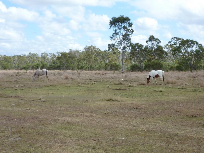 116 Sommer Road, Cawarral QLD 4702