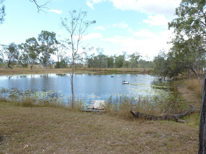 32 BLACK GIN CREEK ROAD, Alton Downs QLD 4702