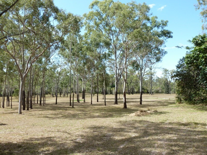32 BLACK GIN CREEK ROAD, Alton Downs QLD 4702