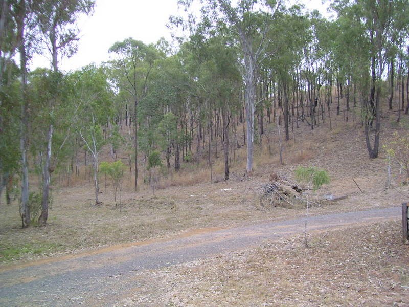 Horse Creek QLD 4714