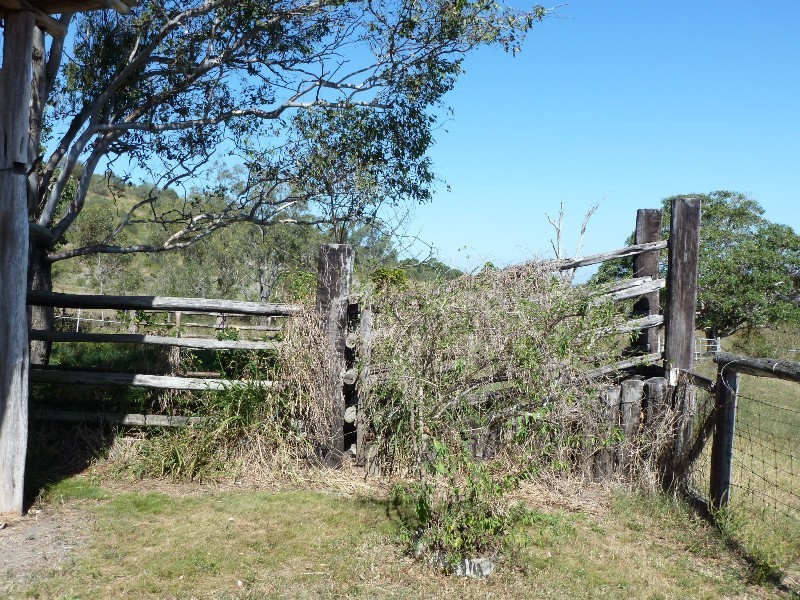 63 TOONDA ROAD, Marmor QLD 4702