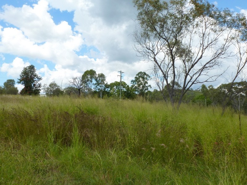 16a CREEK STREET, Baree QLD 4714