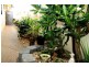 5 Kristin Close, Gracemere QLD 4702