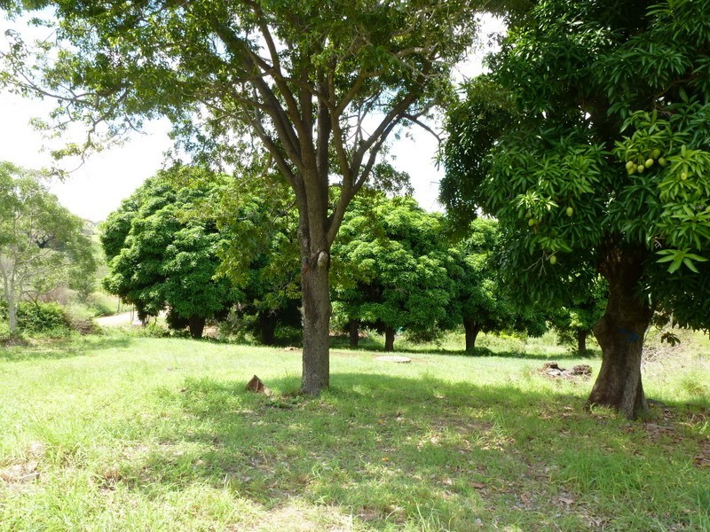 7 SHAMROCK STREET, The Mine QLD 4714