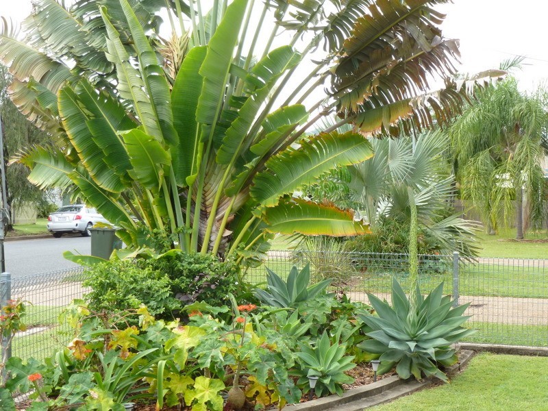 196 STAMFORD STREET, Berserker QLD 4701