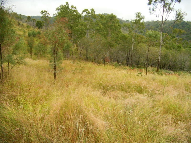 Mount Morgan QLD 4714