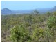 Limestone Creek QLD 4701