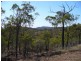 Limestone Creek QLD 4701