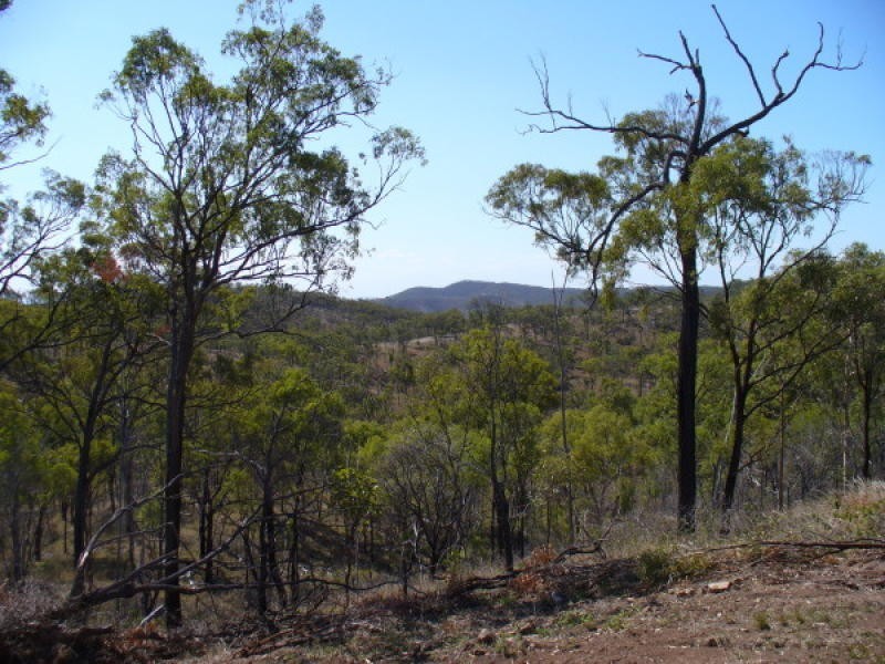 Limestone Creek QLD 4701