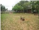 8 Canovan Street, Berserker QLD 4701