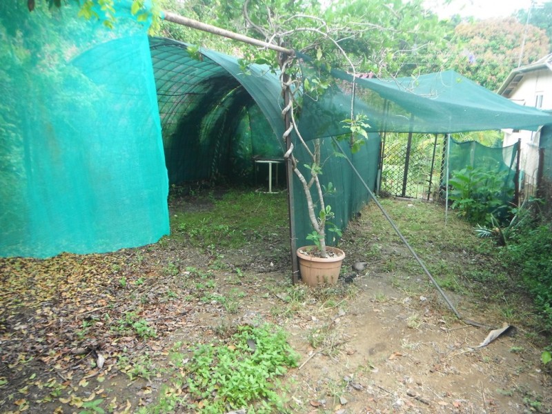 1 Nicholson Street, Mount Morgan QLD 4714