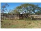 253 Middle Road, Gracemere QLD 4702