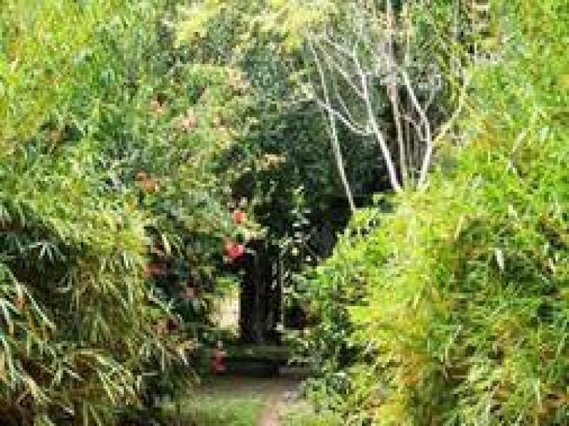 14 Wards lane, Yeppoon QLD 4703