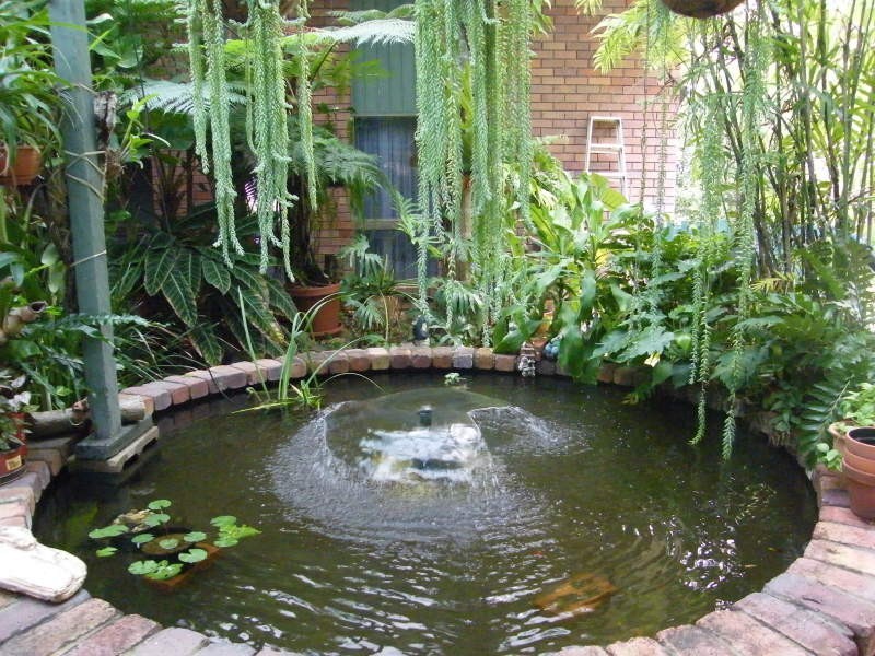 5 Clair, Taranganba QLD 4703