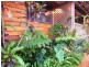 6 AZTEC, Yeppoon QLD 4703