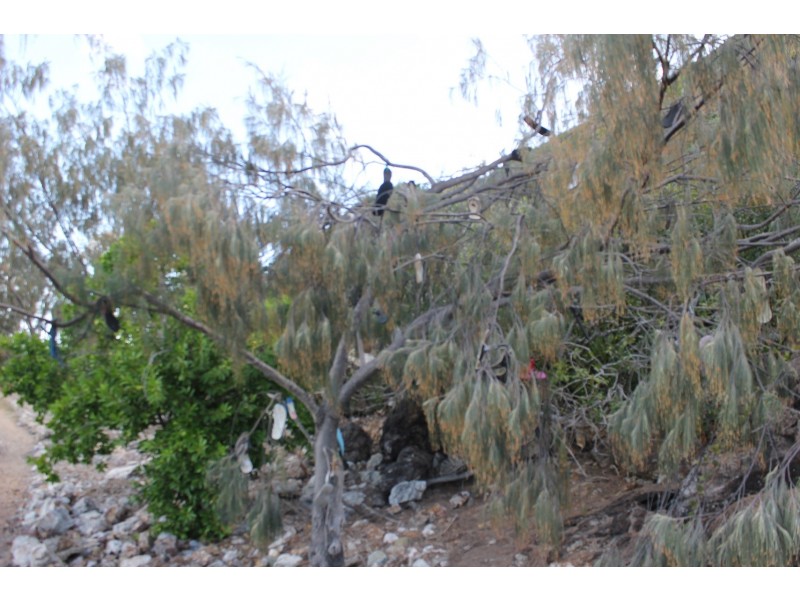 6 Carlo Corner, Keppel Sands QLD 4702