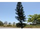 830 Scenic Highway, Kinka Beach QLD 4703