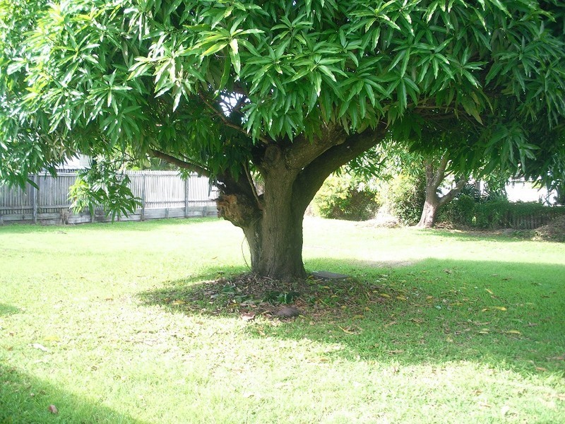 4 Spring Street, Yeppoon QLD 4703