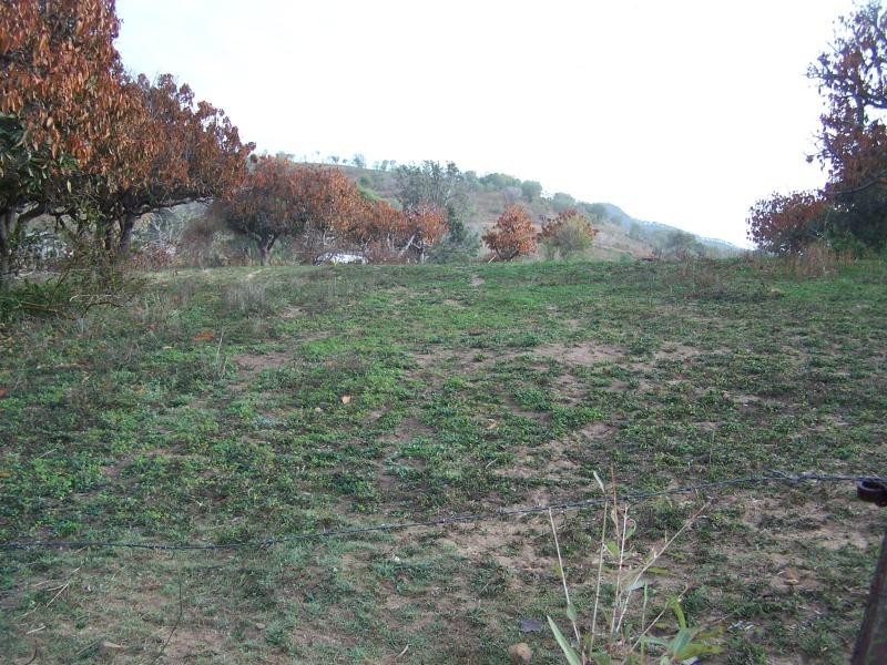 Via Burnett Highway, Mount Morgan QLD 4714