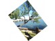 Yeppoon QLD 4703