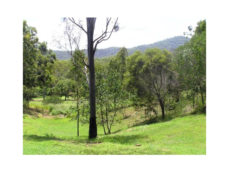 113 Warcons Rd, Cawarral QLD 4702