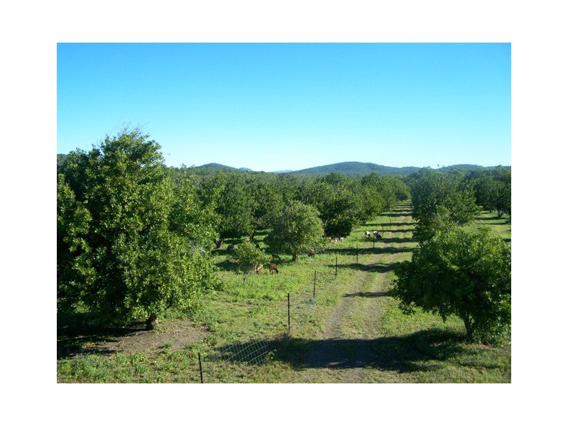 163 Druces rd, Yeppoon QLD 4703