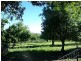 163 Druces, Yeppoon QLD 4703