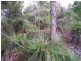 Yeppoon QLD 4703