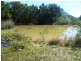 196 Sandy Creek Road, Byfield QLD 4703