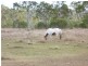 Cawarral QLD 4702