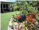 31 Singleton Street, Zilzie QLD 4710