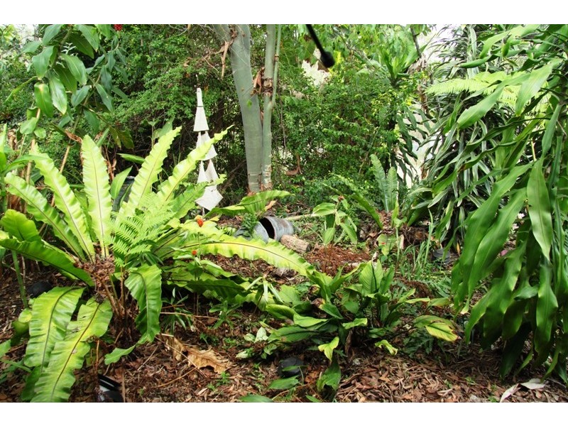 146 Mackays Road, Bondoola QLD 4703