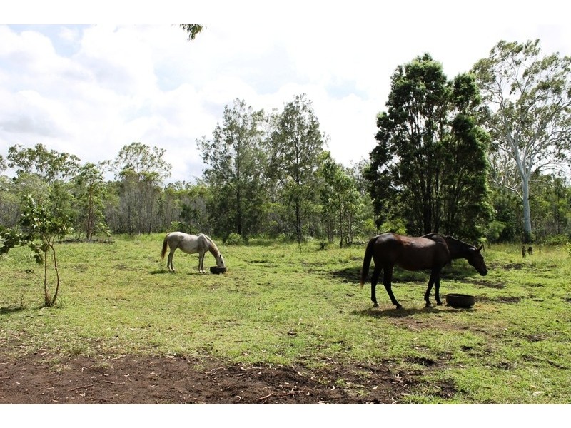 154 VANDERSPECK ROAD, Bondoola QLD 4703