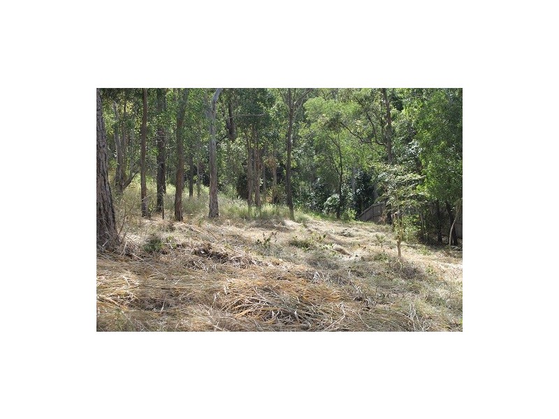 6 Rainbow Court, Frenchville QLD 4701