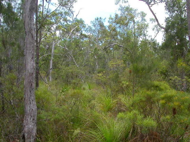 Lot 11 Waterpark Road, Byfield QLD 4703