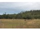 328 Sleipner Road, Mount Chalmers QLD 4702