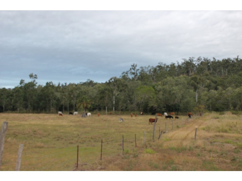 328 Sleipner Road, Mount Chalmers QLD 4702