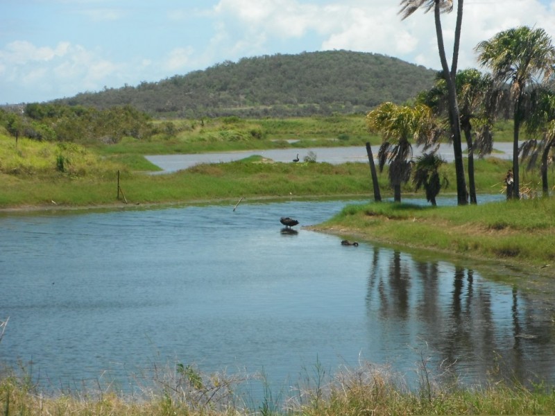 56 Falcon Crest, Zilzie QLD 4710