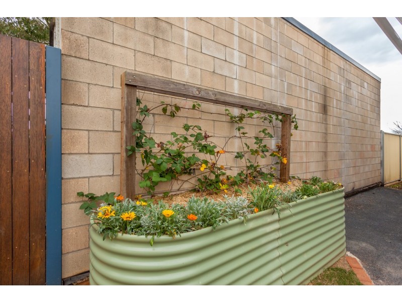 27 Buckland Street, Harristown QLD 4350